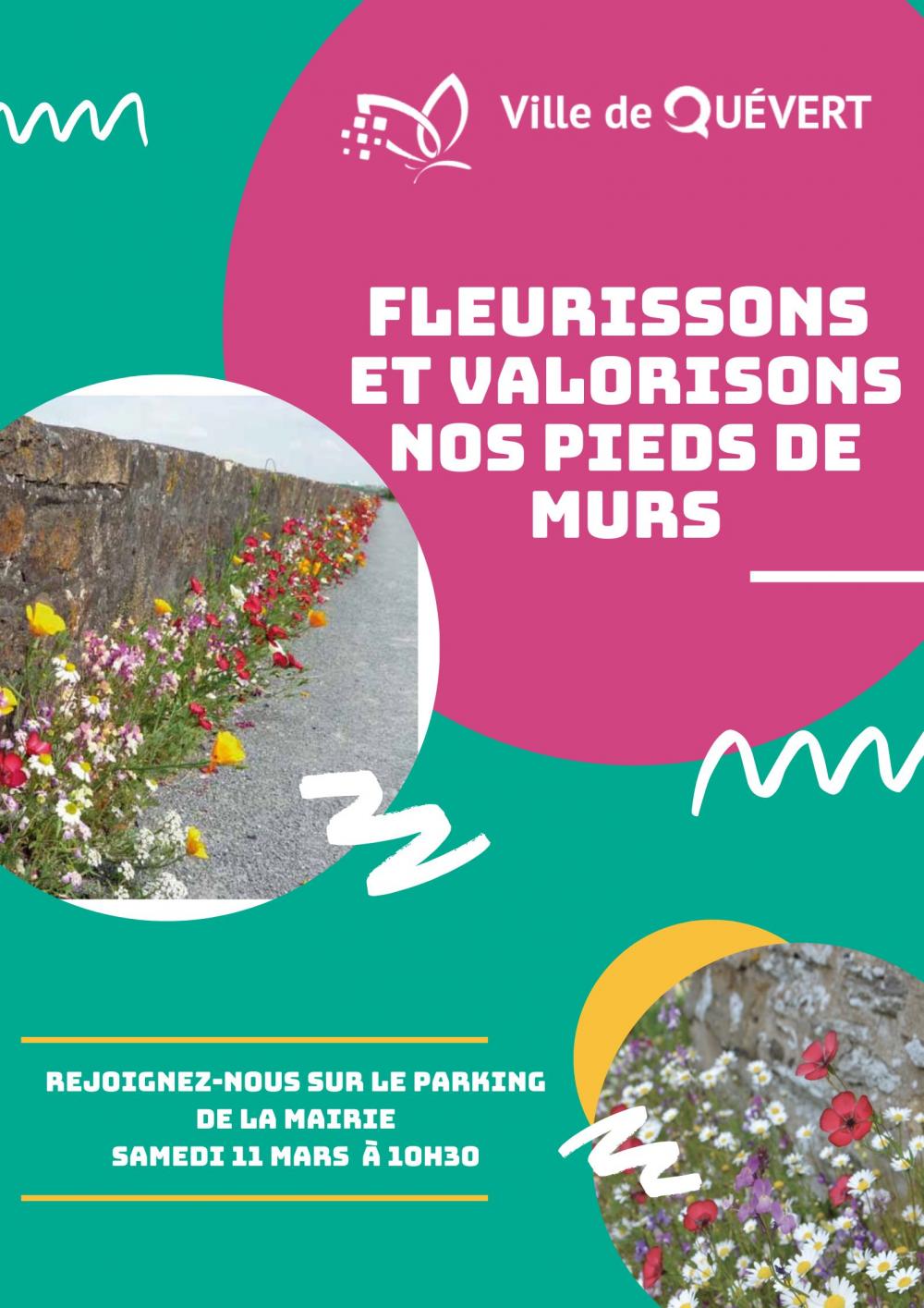 Valorisation des Pieds de Murs
